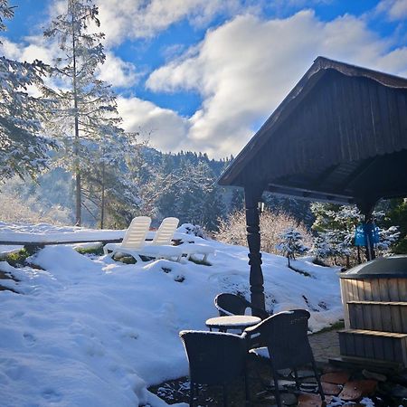 Отель Alpina Panoramic Мойсей Экстерьер фото