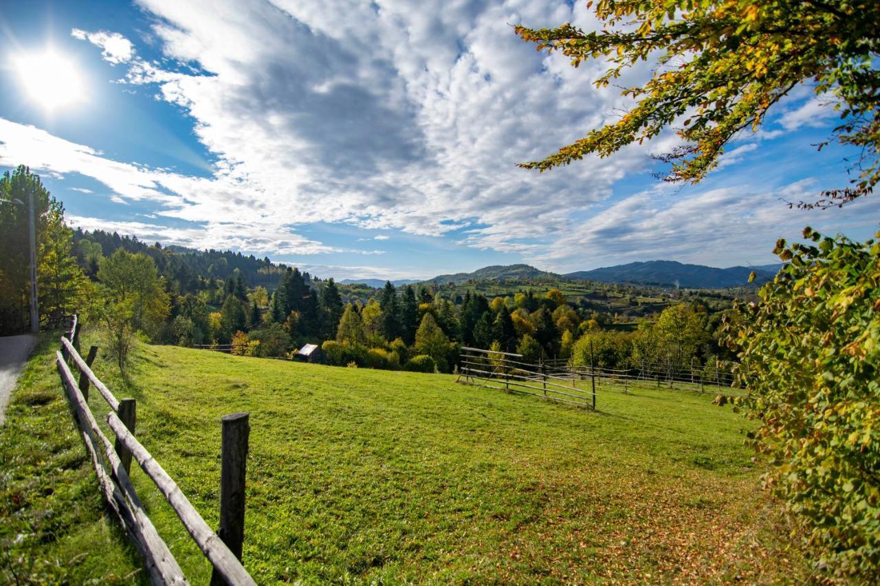 Отель Alpina Panoramic Мойсей Экстерьер фото