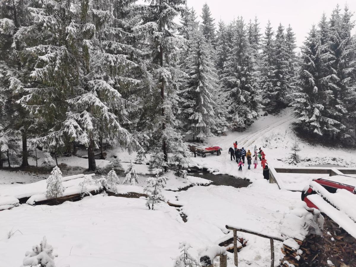 Отель Alpina Panoramic Мойсей Экстерьер фото