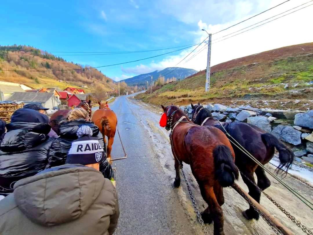 Отель Alpina Panoramic Мойсей Экстерьер фото