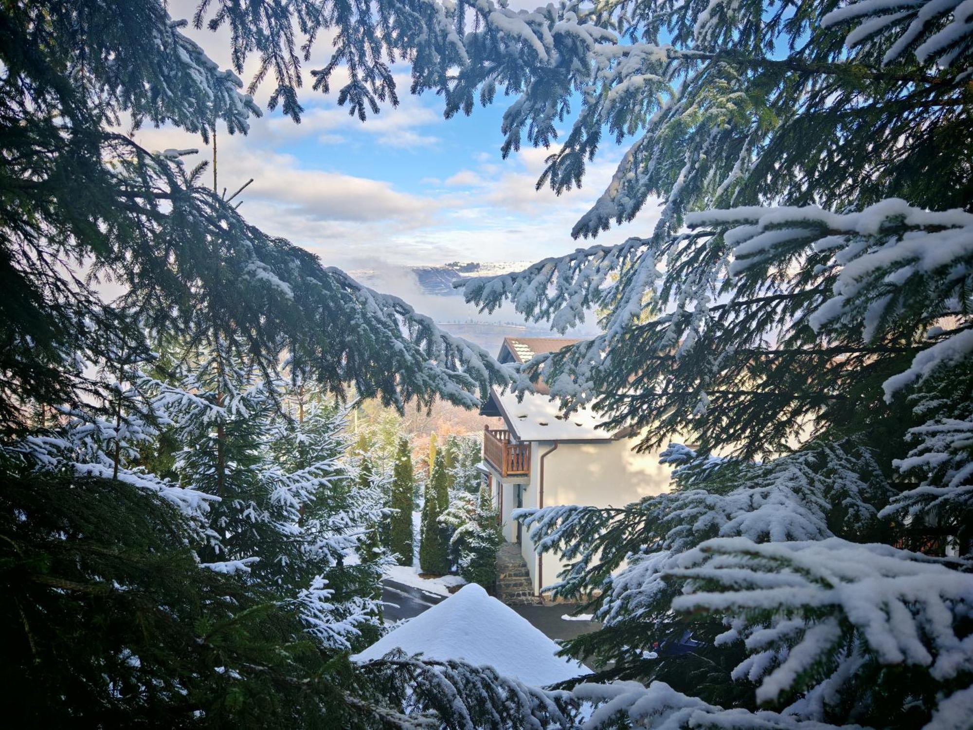Отель Alpina Panoramic Мойсей Экстерьер фото